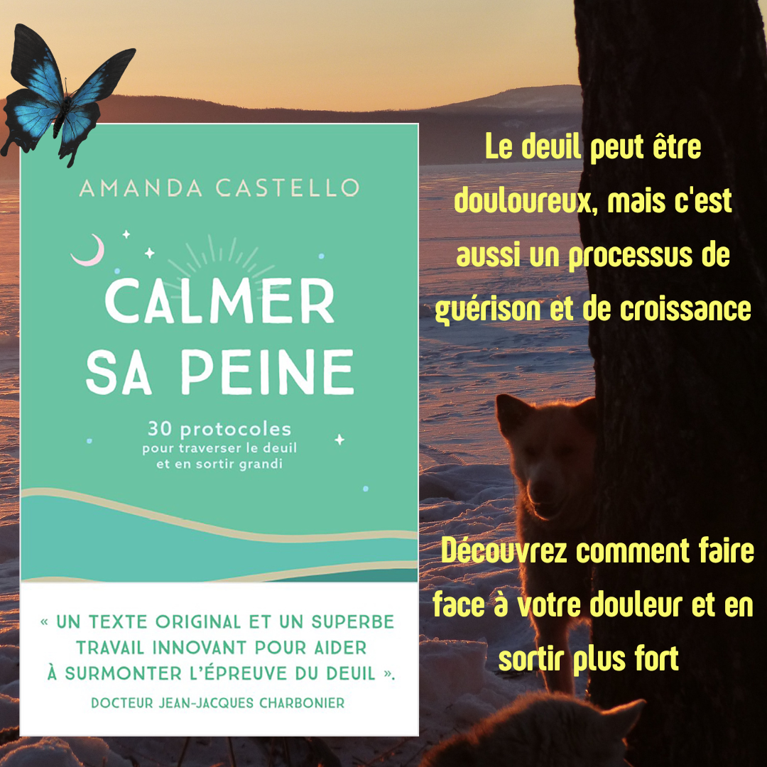 Mon dernier livre « Calmer sa peine 30 Protocoles pour élaborer le deuil et en sortir grandi